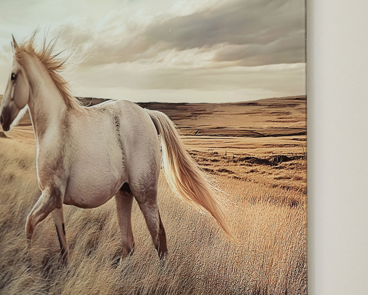 Errolville - Wall Art - Multi